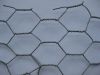 PVC Coated Rabbit wire mesh/chicken wire/ Hexagonal wire mesh From Direct Manufacturer