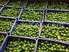 SEEDLESS FRESH LIME / ...