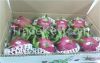 Fresh Dragon fruit