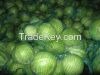 Cabbages, 300$/ton - W...