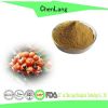 Pure Natural Extract Guarana Extract 10%