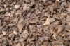Palm Kernel Shell