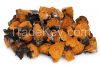 Chaga Mushrooms