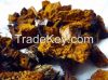 Chaga Mushrooms