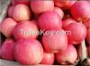 chinese 2015 type fuji fresh apple fruit