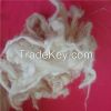 Chinese scoured sheep ...