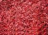 Whole Chilies, (Africa...