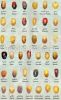 Dates , Fruits and Veg...