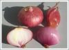 Onion, Onion Slice, On...
