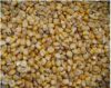 FEED WHEAT / FEED CORN / SUNFLOWER MEAL / SOYBEAN MEAL / SUGAR BEET PULP / SUNFLOWER HUSK