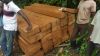 AFROMASIA - PERICOPSIS ELATA - AFRICAN TEAK WOOD