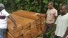 AFROMASIA - PERICOPSIS ELATA - AFRICAN TEAK WOOD