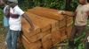 AFROMASIA - PERICOPSIS ELATA - AFRICAN TEAK WOOD