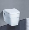Wall hung toilet