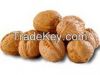 Walnuts in shell