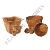Coir Pith Pots