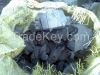 Hardwood Charcoal 