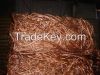 Copper Wire Scrap 99.99