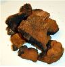 Wild Siberian Chaga Mu...