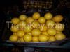 Eureka / Adalia Lemons