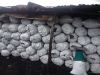 Hardwood Charcoal of h...