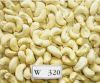 High Quality Cashew Nuts