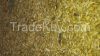 Russian feed barley