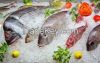 Tilapia Fish Fresh Sar...