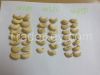 Cashew Nuts
