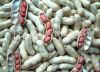 peanuts/groundnuts