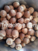 Areca Nuts
