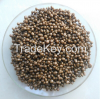 DAP Fertilizer 18-46-0