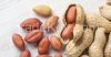 Raw Peanuts in Shell/G...