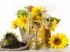 Sunflower oil