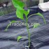 PP Woven Geotextile Fabric for Garden Weed Surpress Landscape