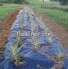 China Supplier Agriculture Weed Control Mat Woven Fabric Used for Landscaping