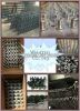 Carbon steel and stainless stain pipefittings, flanges, elbow, forged pipe fittings.