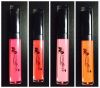 2016 Professional Factory OEM Lip Gloss High Shine Lip Gloss 3.0g