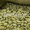 Arabica Green Coffee Beans