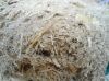  Sugarcane Bagasse / S...