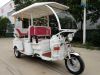 2016 Hot Selling Electric Rickshaw/Electric Tricycle for Sale