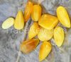 Natural Baltic amber pendant billets 2 - 25 grams