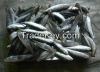 Frozen sardine fish fo...