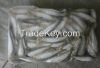 Frozen sardine fish fo...