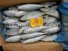 Frozen japanese scad, ...