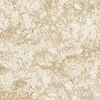 Porcelain Tiles from B...