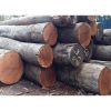 Kwila wood round logs