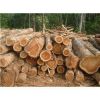 Kwila wood round logs