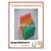 Sponge Scouring pads