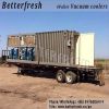 Dongguan Betterfresh pre coolers Vacuum coolers for vegetables Cauliflower Kohlrabi Cress Bread Lettuce Broccoli